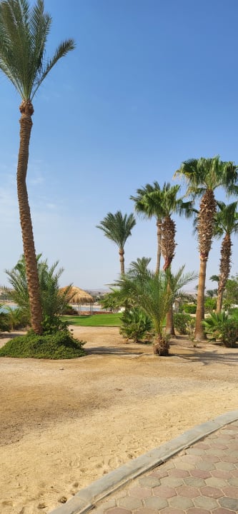 Strand Steigenberger Coraya Beach - Adults only