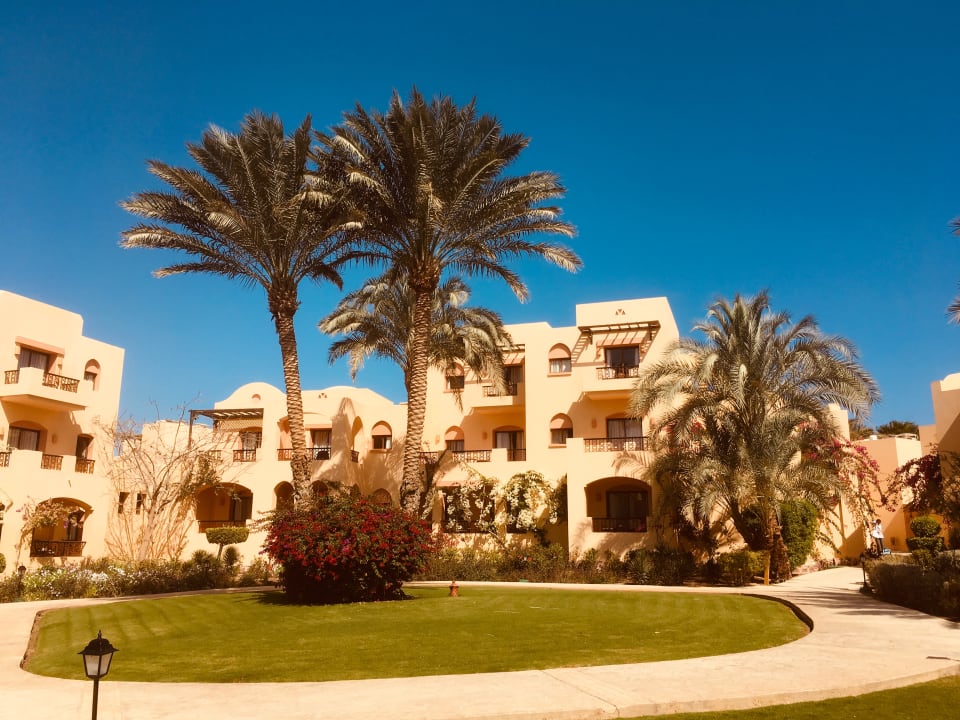 Garten Steigenberger Coraya Beach - Adults only