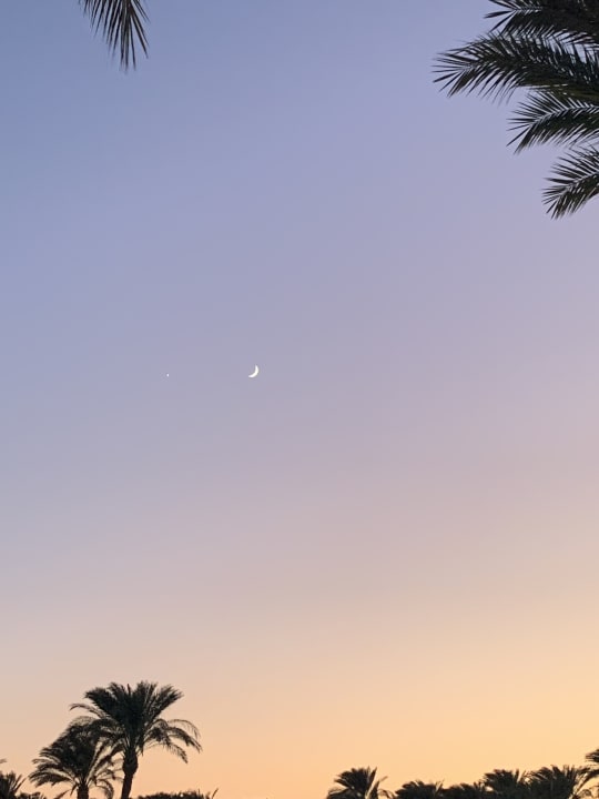 Gastro Jaz Makadi Oasis Resort