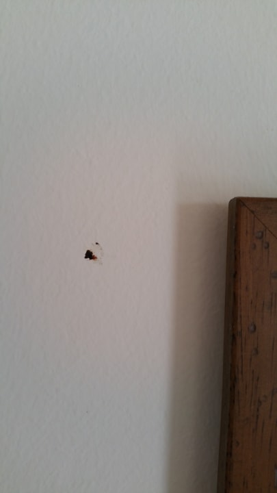 Zimmer Occidental Jandía Mar