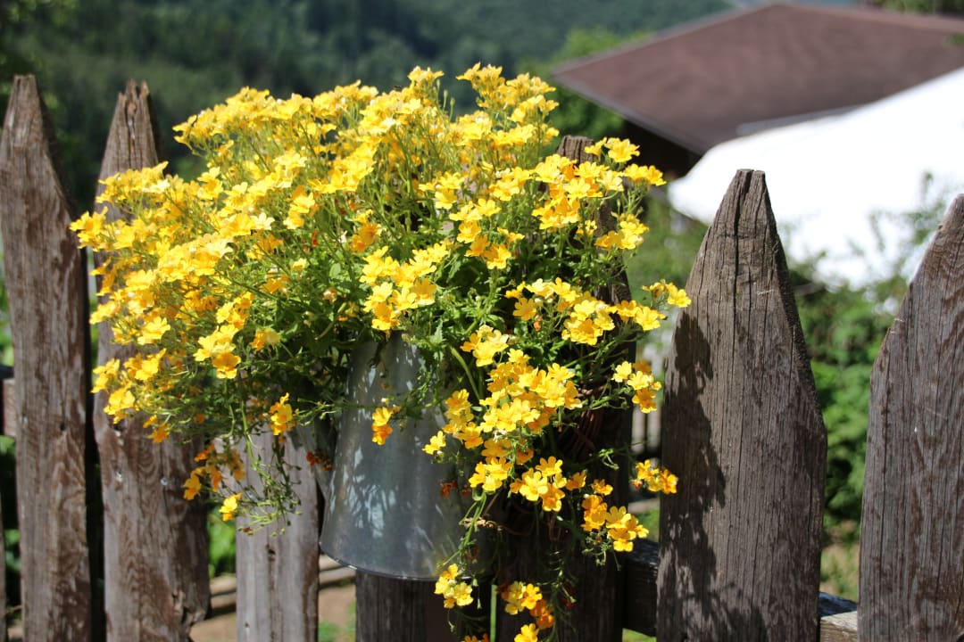 Sonstiges Sonnleiten Dolomiten Residence