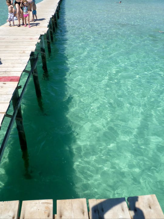 Ist das nicht ein tolles Meer? Iberostar Selection Playa de Muro Village