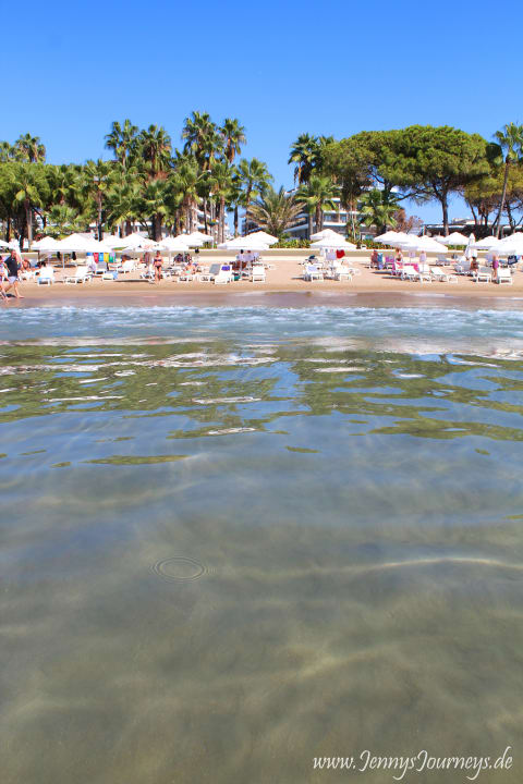 Strand Acanthus Cennet Barut Collection