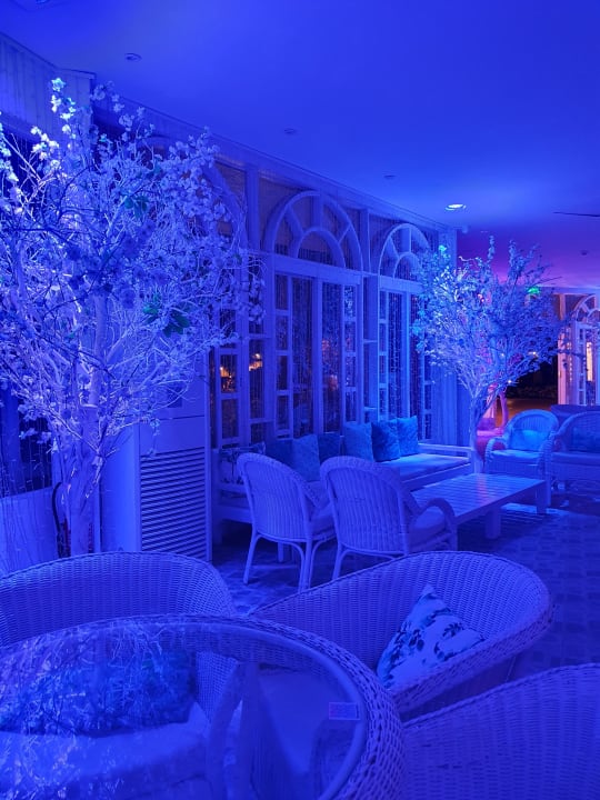 Sonstiges Desert Rose