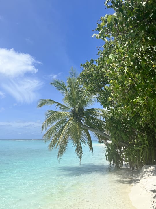 Strand Vilamendhoo Island Resort & Spa