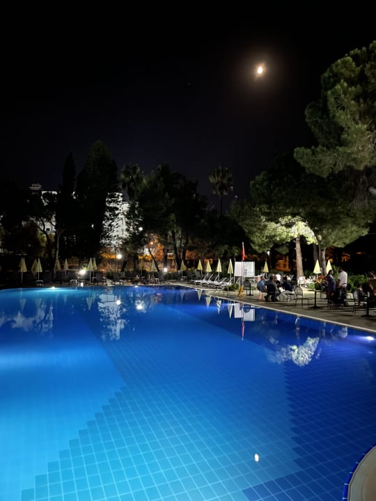 Pool Asteria Collection Side