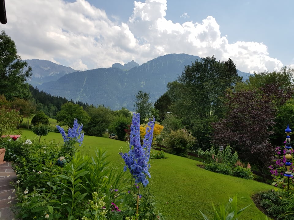 Gartenanlage Ferienwohnung Samper Burgweg 22