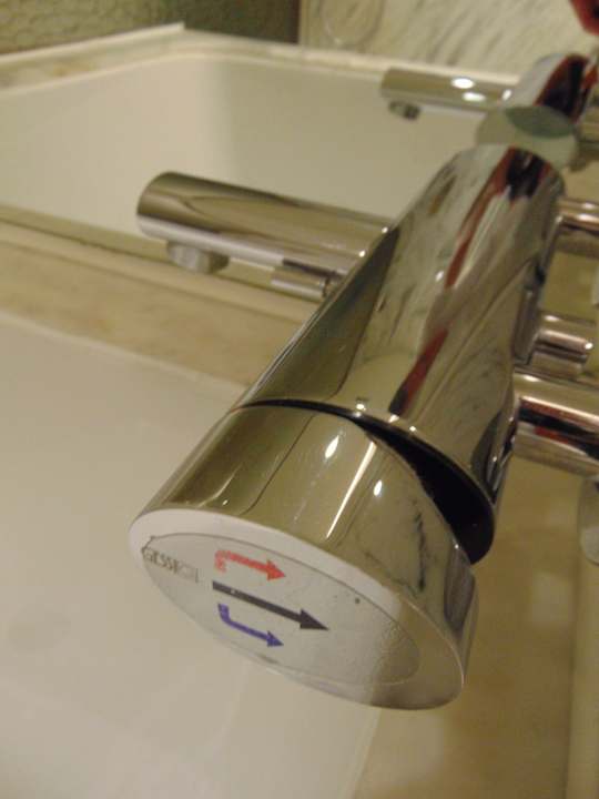 Zimmer Hotel Hyatt Regency Delhi