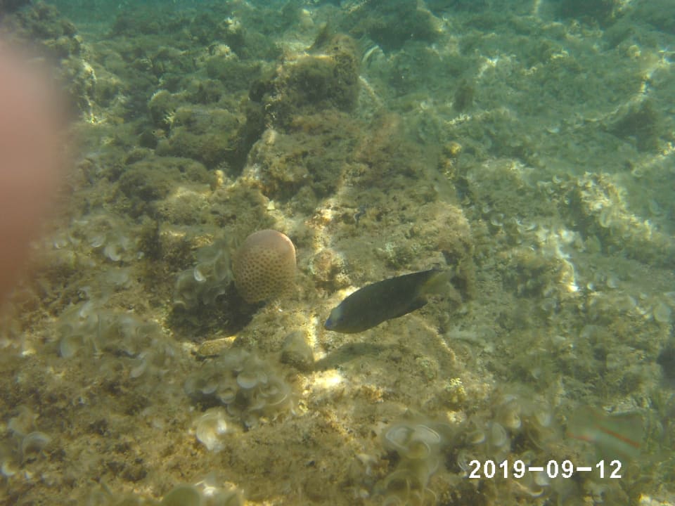 Sport & Freizeit Bella Vista Resort Hurghada