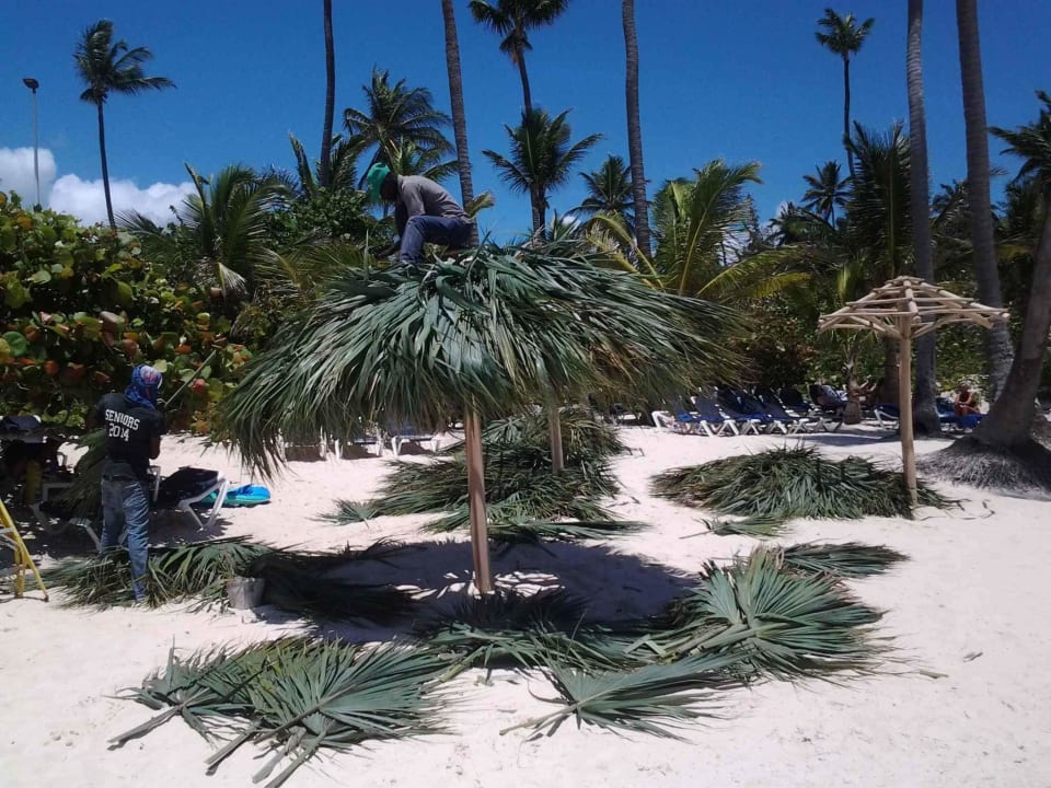 Strand Hotel Grand Palladium Palace Resort, Spa & Casino