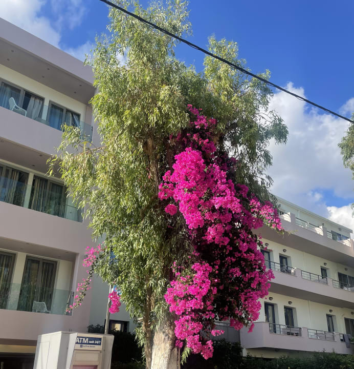 Sonstiges Corissia Beach Hotel