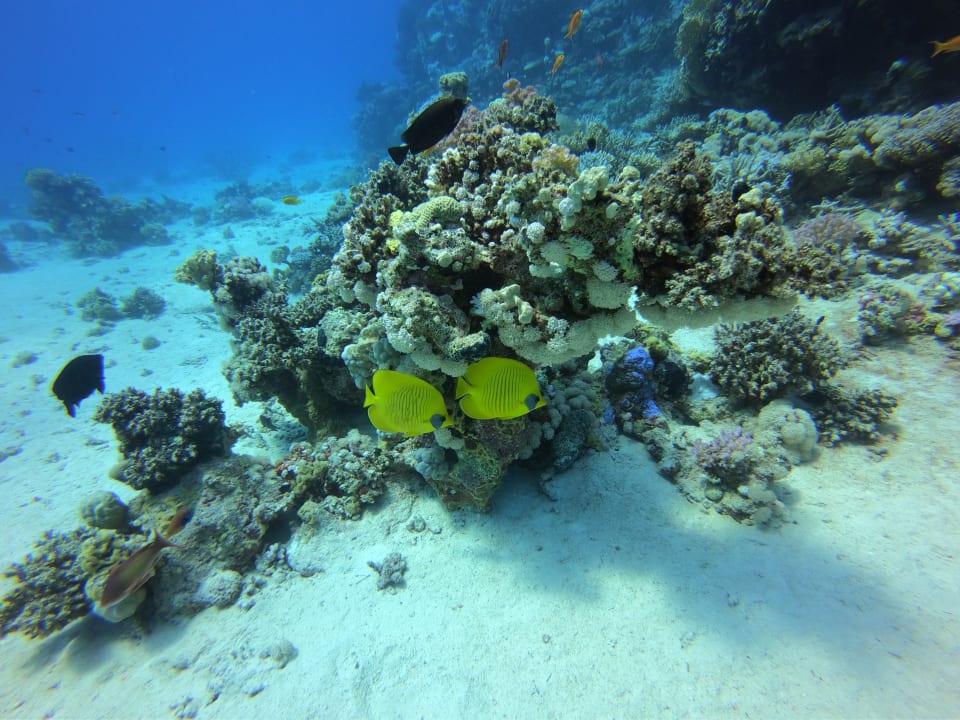 Sport & Freizeit ROBINSON SOMA BAY