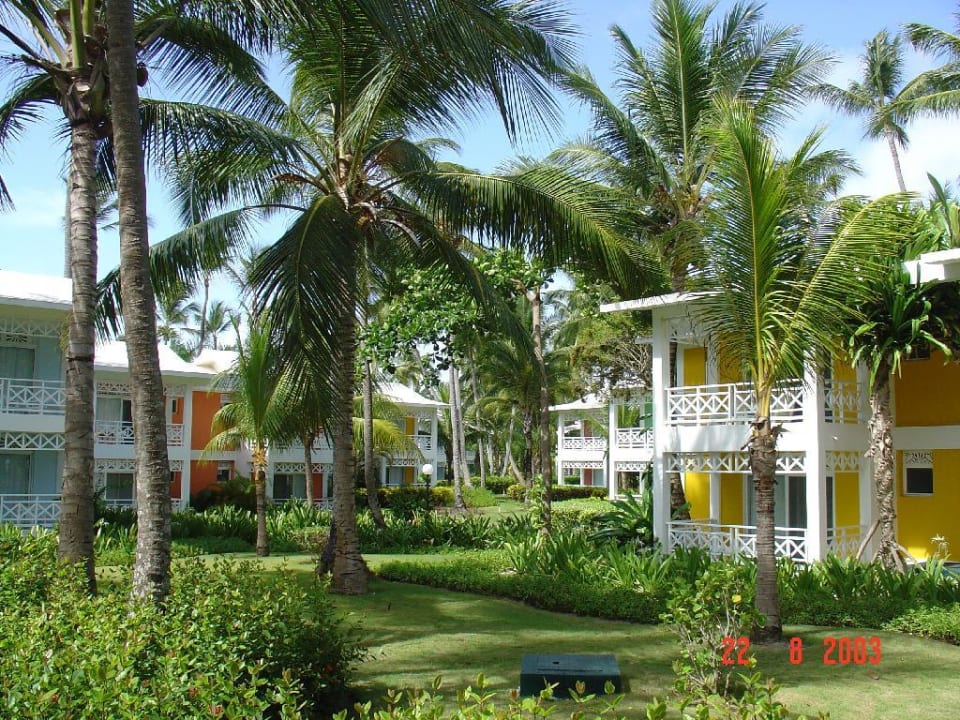 Bungalows im Riu Taino Hotel Riu Palace Bavaro