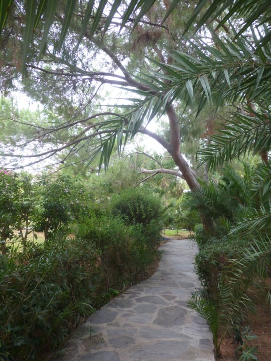Weg vom/zum Pool/Strand Apollonia Beach Resort & Spa
