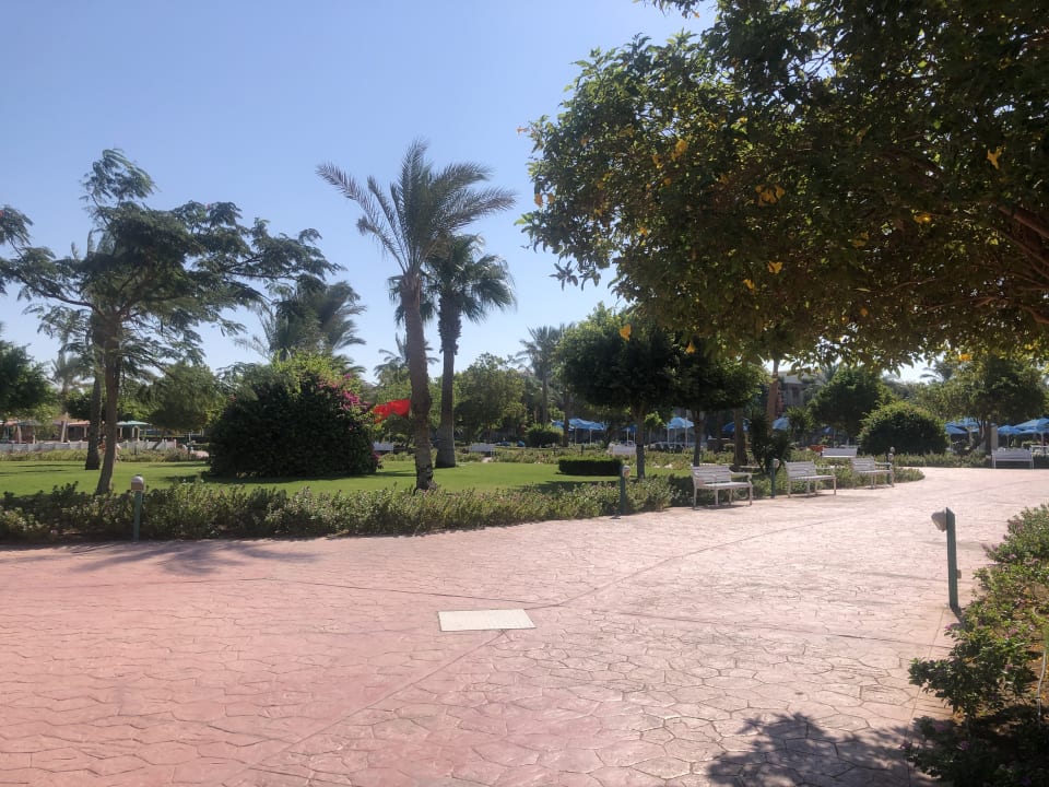 Gartenanlage Desert Rose