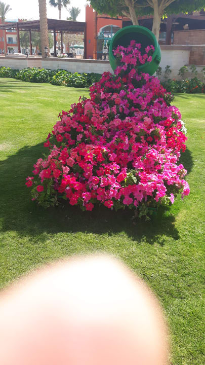 Super  SUNRISE Garden Beach Resort