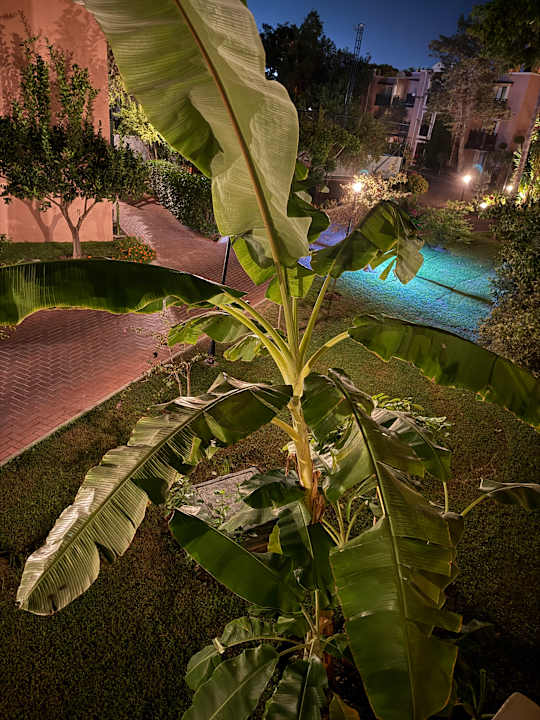 Gartenanlage TUI Magic Life Belek