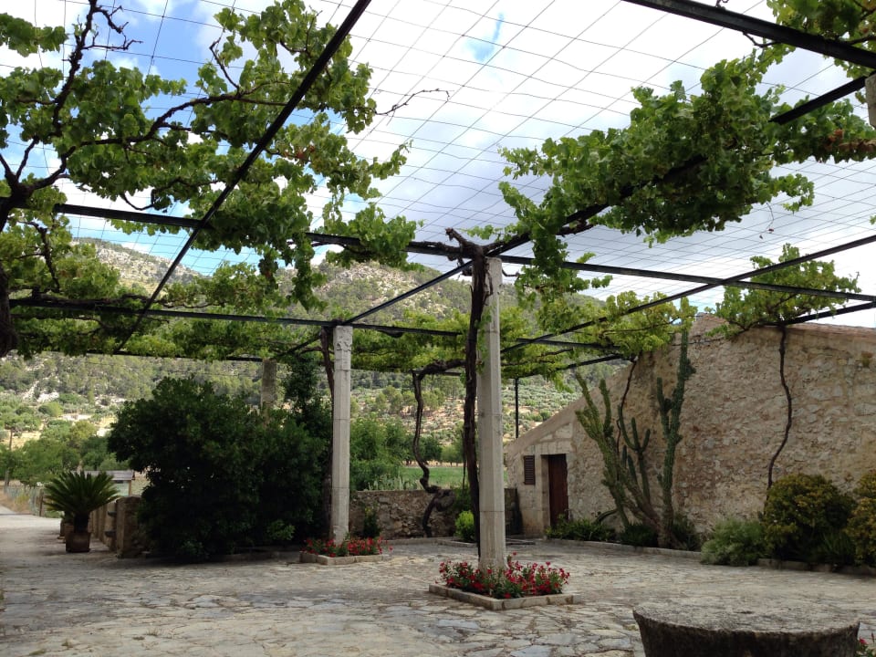 Eingang zum Hotel Hotel Monnaber Vell