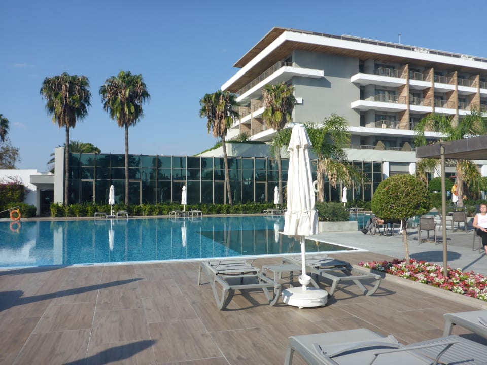 Pool Acanthus Cennet Barut Collection