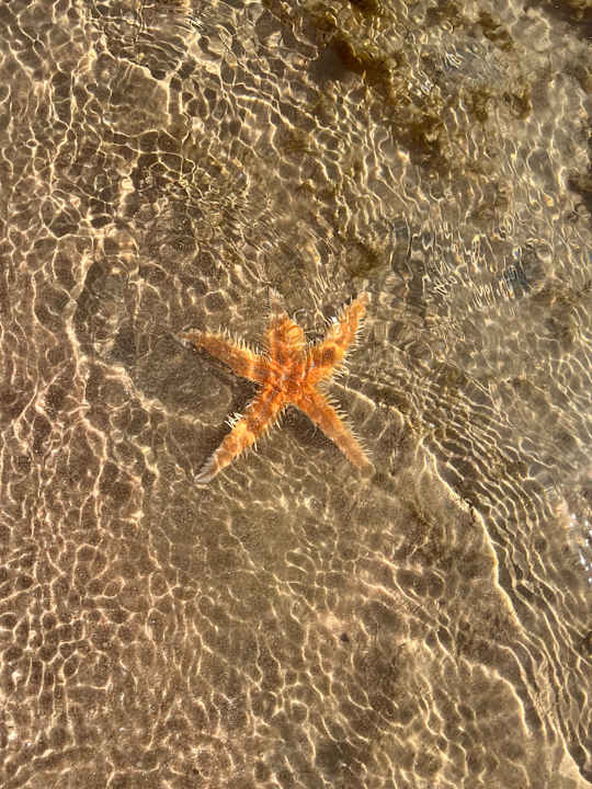 Strand Steigenberger Resort Ras Soma