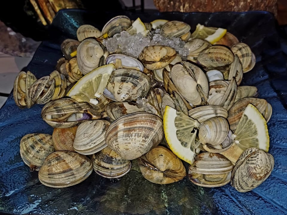 Gastro Seaden Quality Resort & Spa