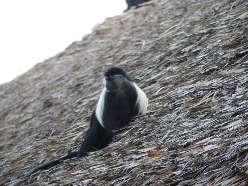 Sonstiges Baobab Beach Resort & Spa