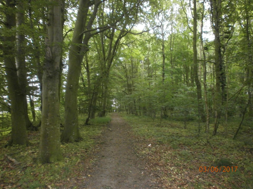 Außenansicht Gästehaus Niederhof