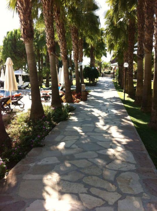 Weg zum Strand durch Palmen. Arum Barut Collection