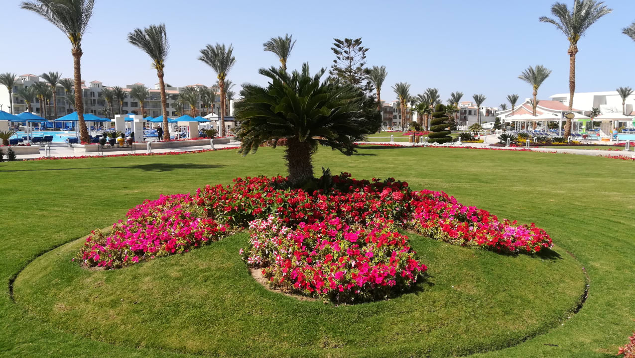 Gartenanlage Pickalbatros Dana Beach Resort - Hurghada