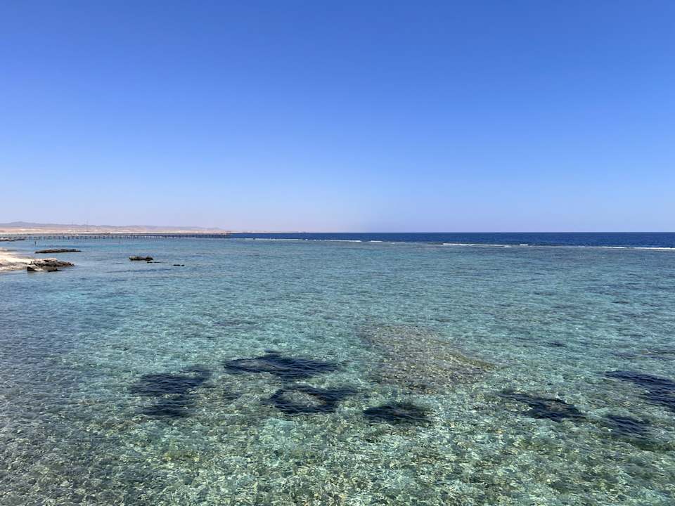 Strand Pickalbatros Sea World Resort - Marsa Alam