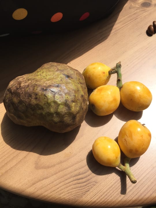 Sonstiges PortoBay Serra Golf