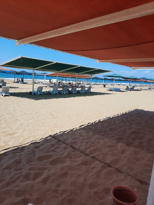 Strand Kamelya Aishen Club