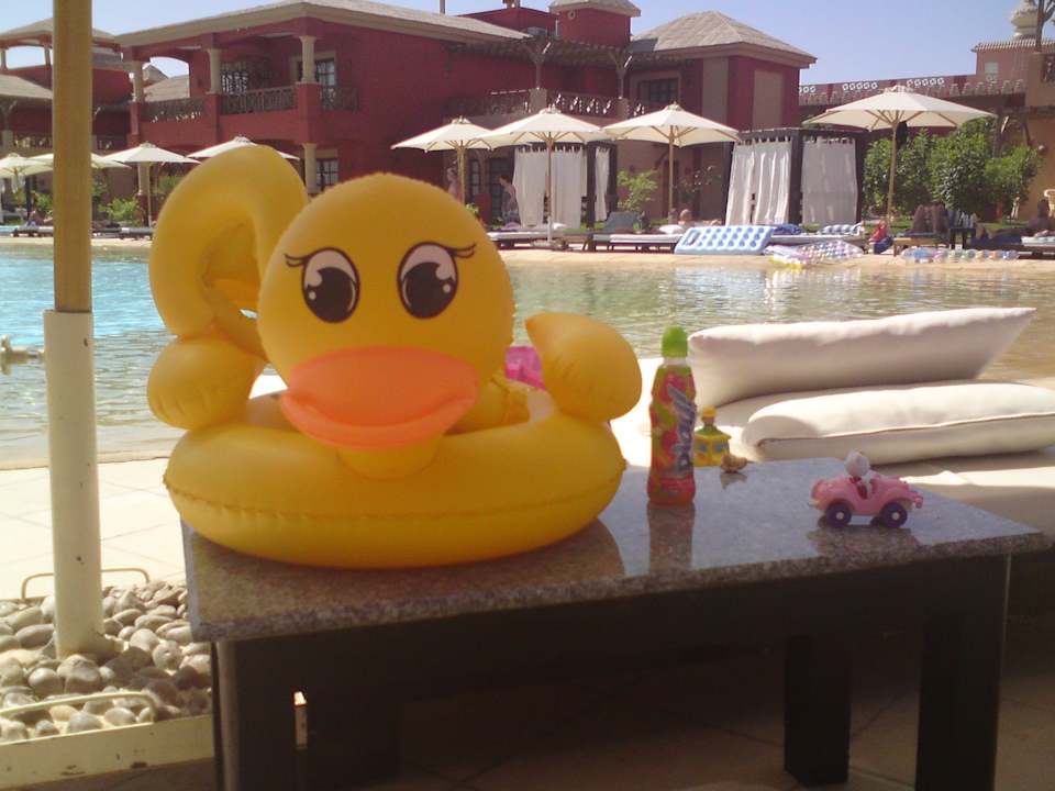 Gesehen am 400pool  Pickalbatros Alf Leila Wa Leila Resort - Neverland Hurghada