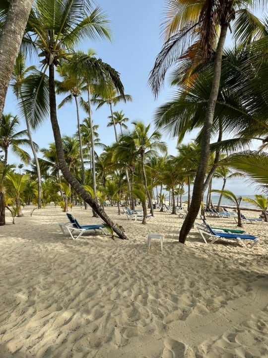 Gartenanlage Hotel Riu Palace Punta Cana