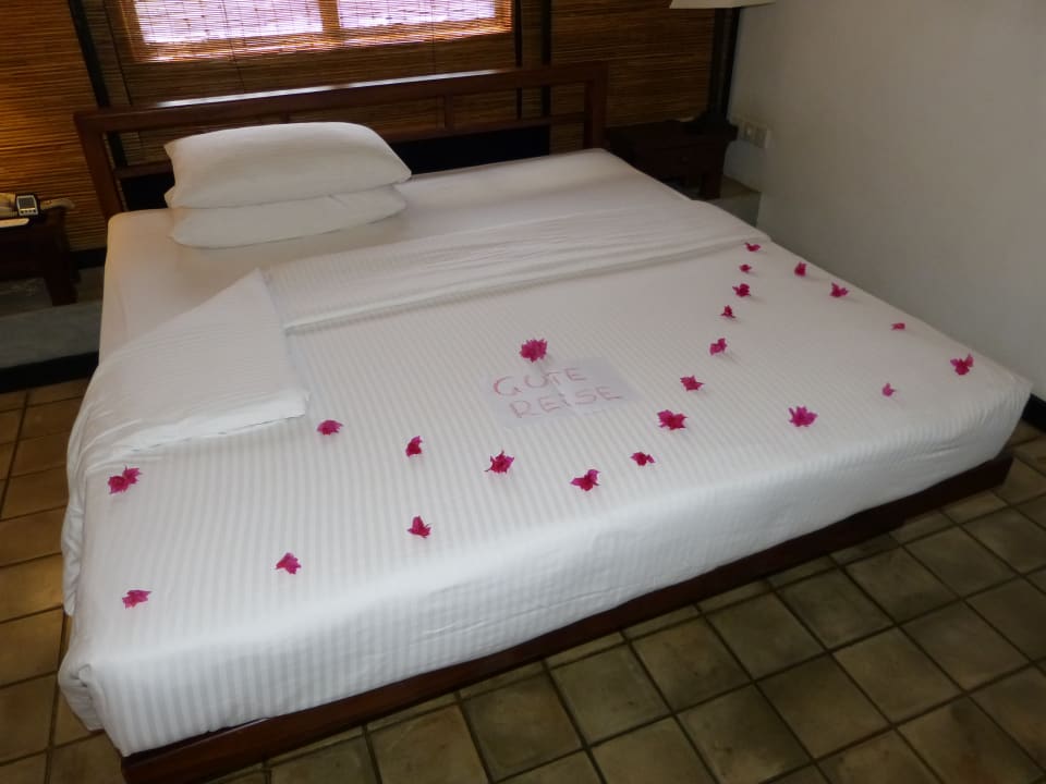 Zimmer Habarana Village by Cinnamon