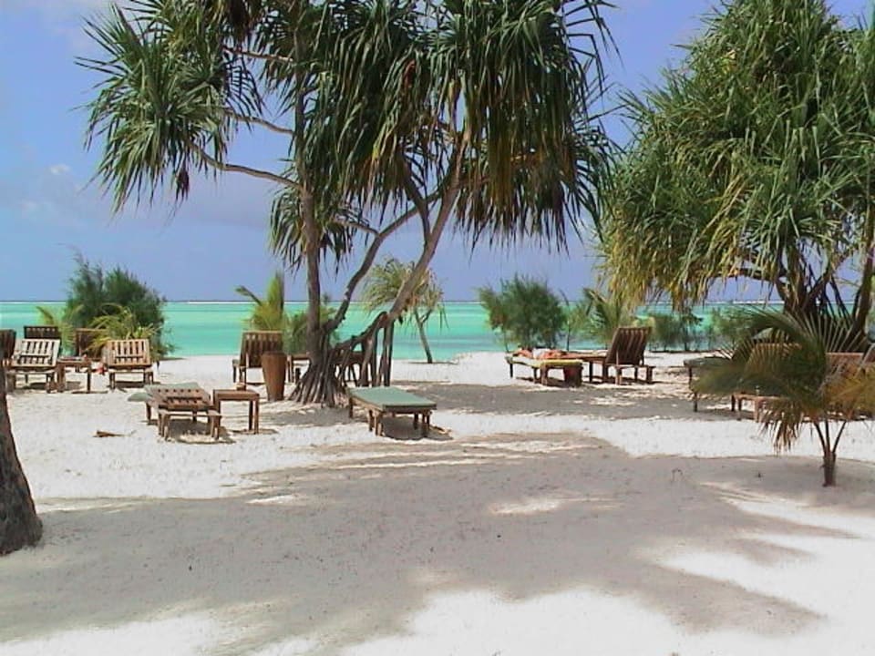 Aussicht Hotel Strand Neptune Pwani Beach Resort & Spa