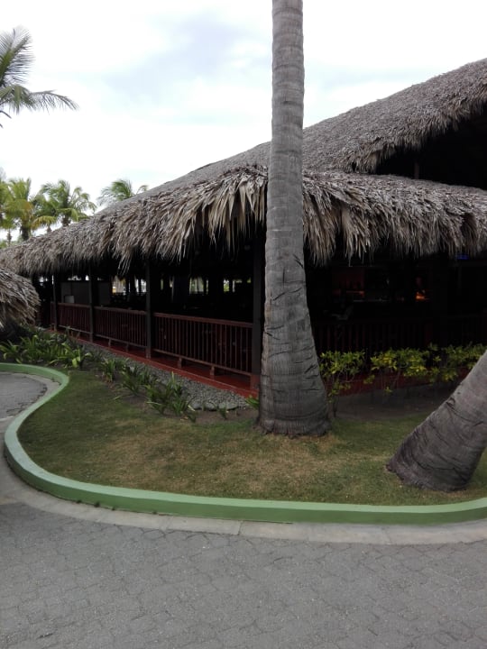 Gastro Playabachata Hotel