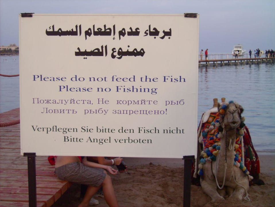 am Strand Grand Waterworld Makadi & Family Star Makadi