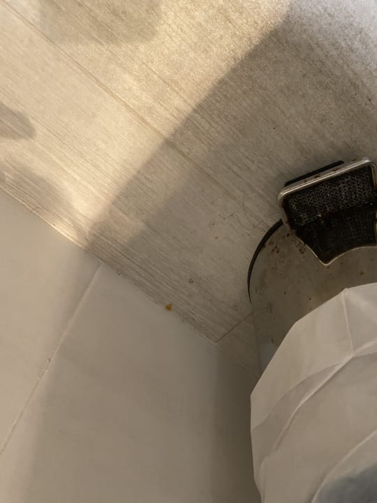 Zimmer Alcudia Garden Aparthotel