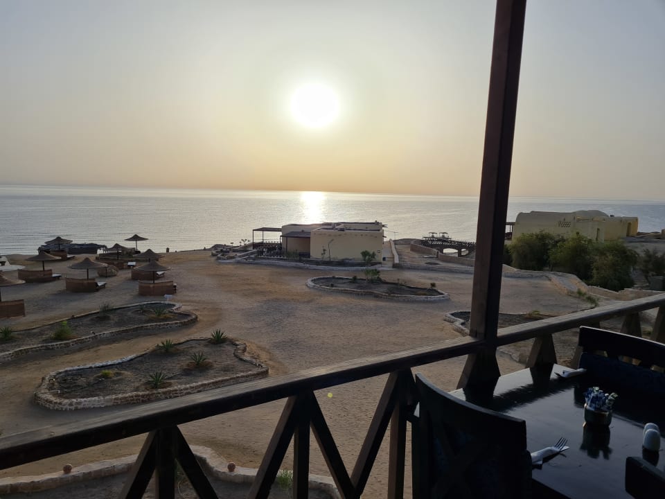 Außenansicht The Oasis Dive Resort