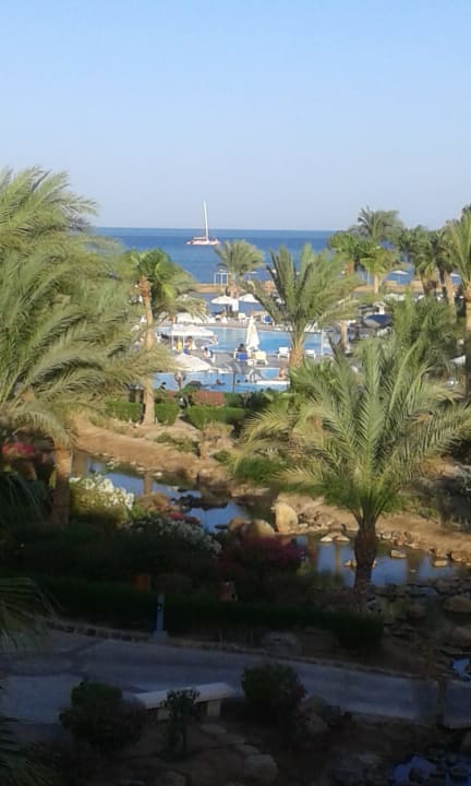 Gartenanlage Mövenpick Resort & Spa El Gouna