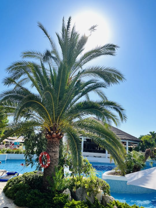 Pool Prinsotel La Dorada