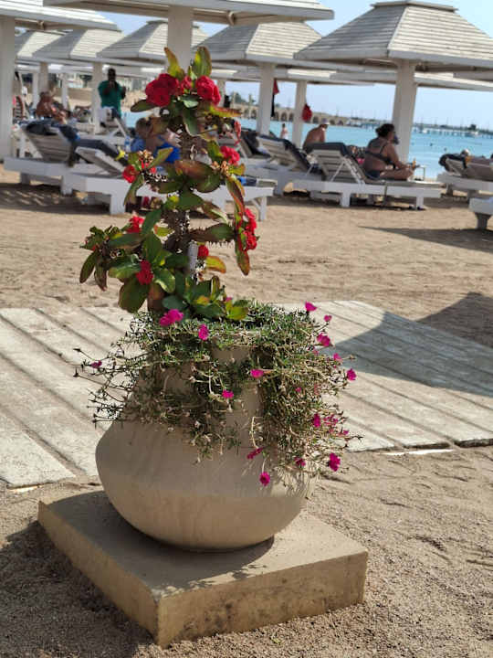 Strand Kaisol Romance Resort