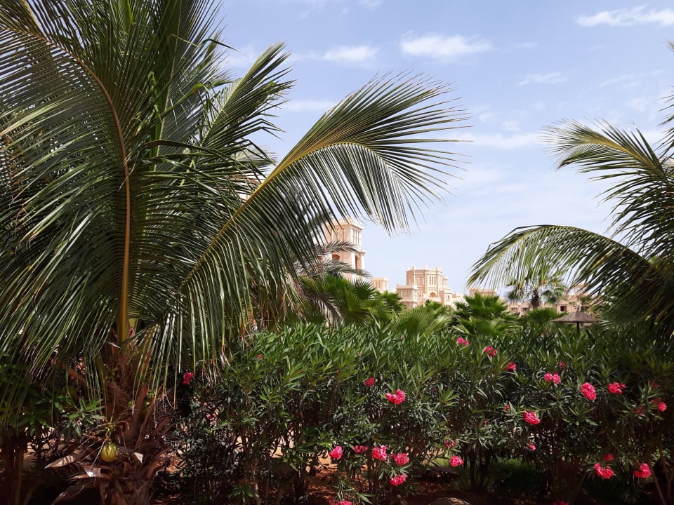 Durch den Garten zum Hotel Hotel Riu Touareg