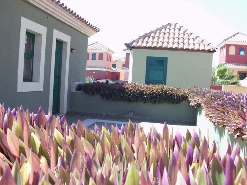 Terrasse BLUESEA Aloe Corralejo