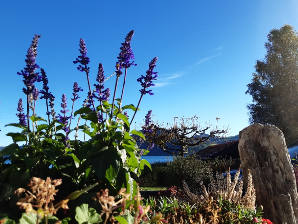 Gartenanlage Hotel Stadler am Attersee