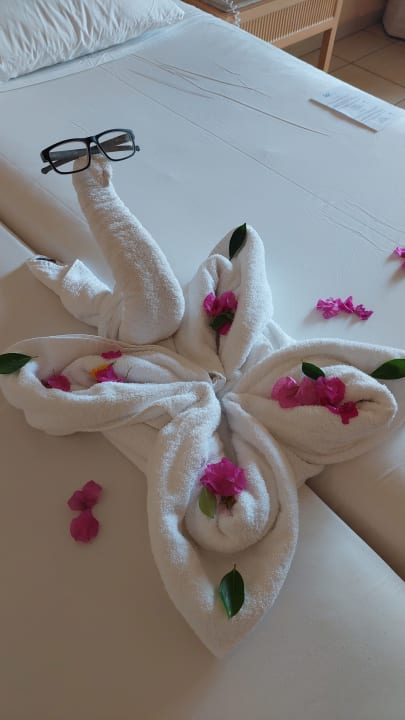 Zimmer Hotel JAZ Makadi Star & Spa