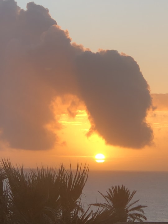 Außenansicht Occidental Jandía Mar