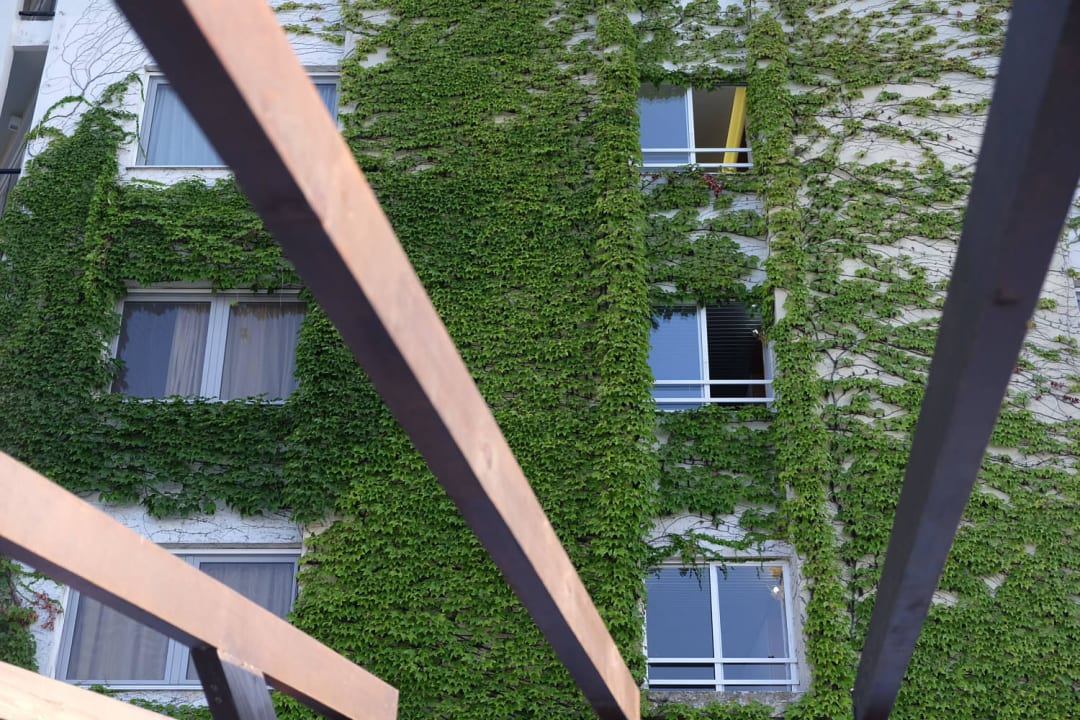 Hotelanlage sauber (Personal äußerst freundlich!) Domes Noruz Kassandra | Adults-Only