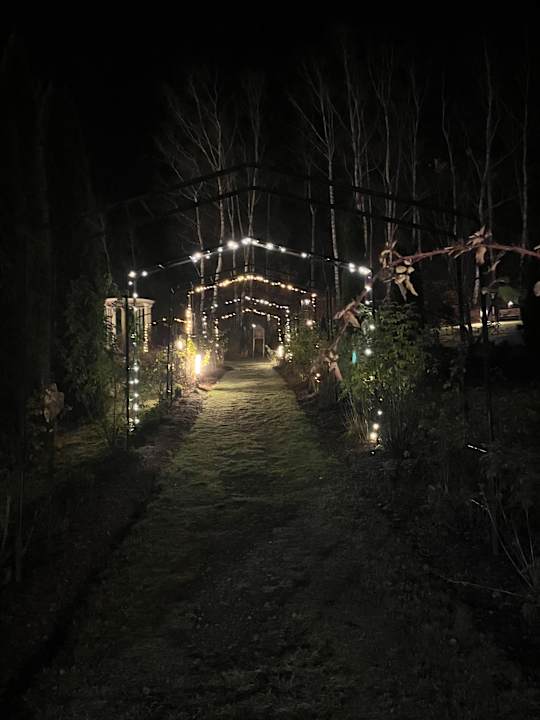 Gartenanlage Spirit & SPA Hotel Birkenhof am Elfenhain